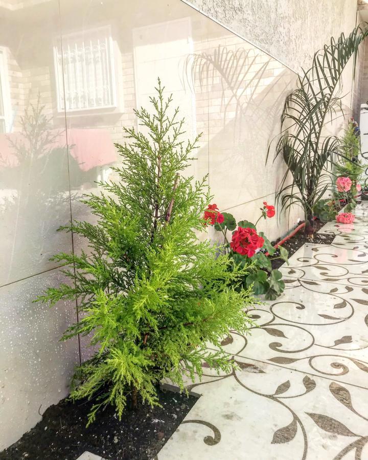 Shahal Apartments Beerseba Exterior foto